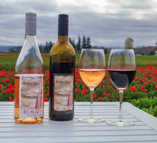 Two bottles of Wooden Shoe wine beside two glasses of rosé and red wine, with a field of red tulips in the background.