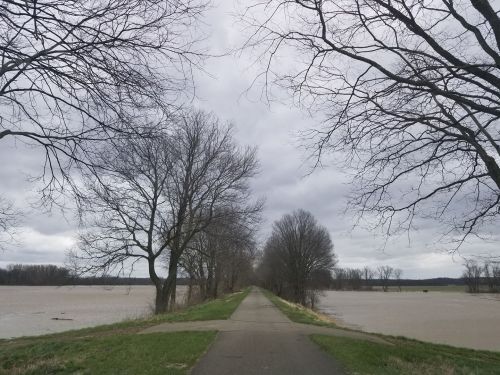 A pathway lined with bare trees, flanked by floodwaters under a cloudy sky.
