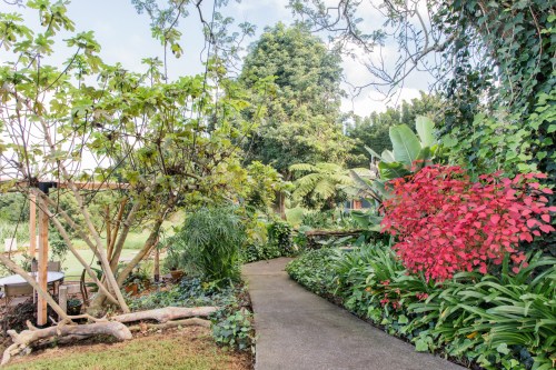A winding pathway through a lush garden with vibrant flowers, greenery, and trees under a clear blue sky.