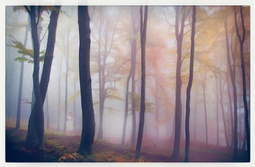 A misty forest with tall trees and soft autumn colors, featuring a blurred figure in a white dress in the background.