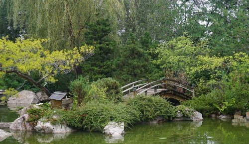 A serene garden scene featuring a wooden bridge over a pond, surrounded by lush greenery and rocks.