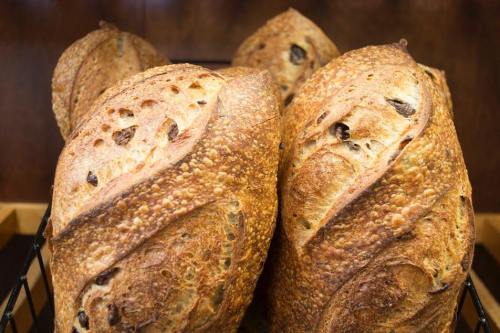 A close-up of freshly baked artisan bread loaves with a golden crust, displayed in a basket.