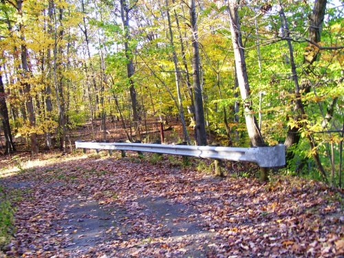 A winding path through a forest with colorful autumn leaves and a concrete guardrail along the side.