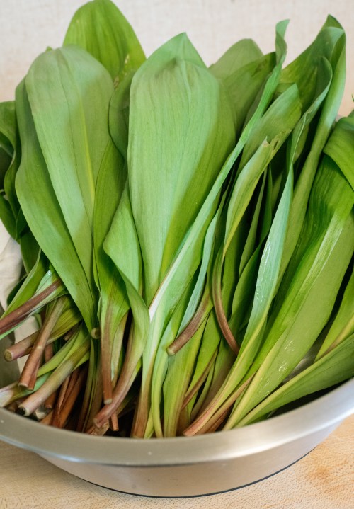 A bowl filled with fresh green ramps, showcasing their long, slender leaves and brownish stems.