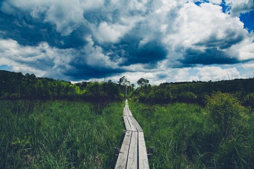 A wooden boardwalk leads through lush green grass under a dramatic sky filled with clouds.