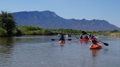 A group of kayakers paddles on a calm river with mountains in the background under a clear blue sky.