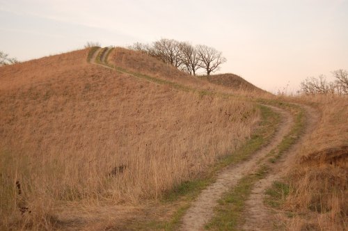 A winding dirt path leads up a grassy hill, surrounded by dry grass and sparse trees under a soft sunset sky.