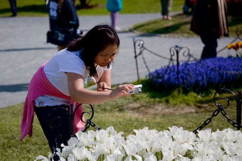 A girl crouches to take a photo of white flowers in a garden, surrounded by colorful blooms and visitors in the background.