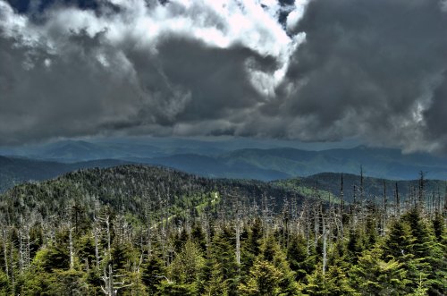 A dramatic mountain landscape with dark clouds, lush green hills, and bare trees under a moody sky.