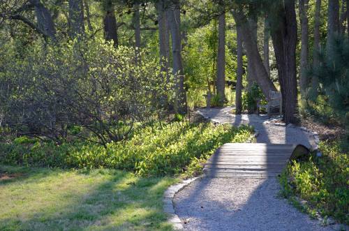 A serene garden path with a wooden bridge, surrounded by lush greenery and trees, leading to a bench in the shade.