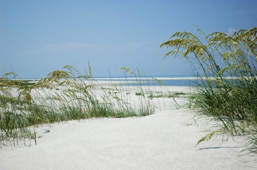 A sandy beach with tall grass in the foreground and a calm sea under a clear blue sky in the background.