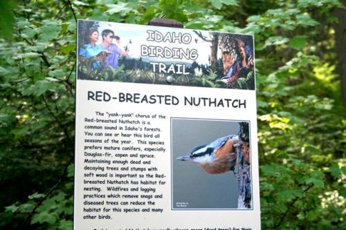 Sign for the Idaho Birding Trail featuring information about the Red-Breasted Nuthatch and its habitat.