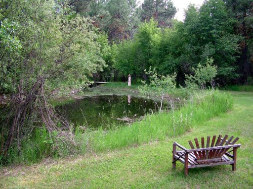 A serene pond surrounded by lush greenery, with a wooden bench in the foreground and a figure in the distance.