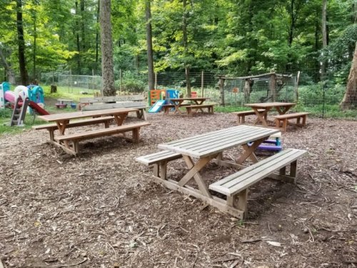 Wooden picnic tables in a forested area, surrounded by trees and a playground in the background.