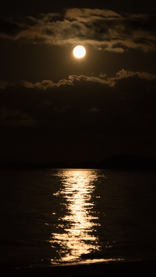 A full moon illuminates the night sky, reflecting on calm water with clouds in the background.