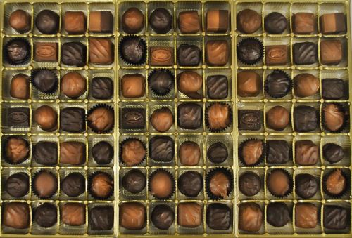 A box of assorted chocolates arranged in a grid, featuring various shapes and dark and milk chocolate varieties.