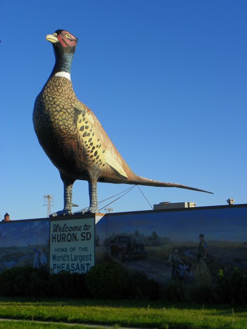 A large statue of a pheasant stands atop a sign welcoming visitors to Huron, SD, home of the world's largest pheasant.