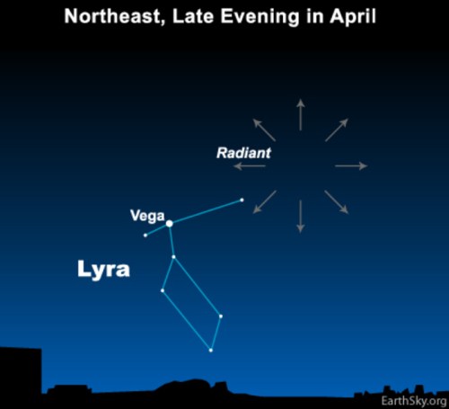 A night sky illustration showing the Lyra constellation and the radiant point for meteor showers in April.