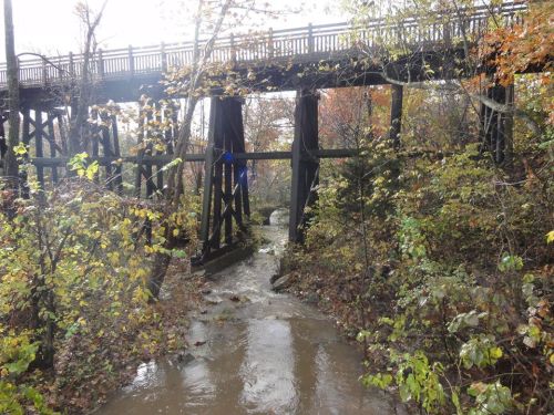 A wooden bridge spans over a stream, surrounded by autumn foliage and trees.