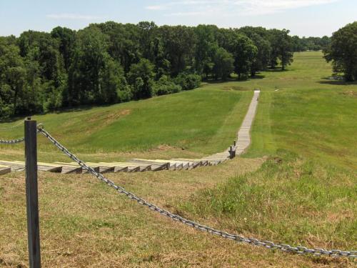 A wooden path leads down a grassy slope, surrounded by trees under a clear blue sky.
