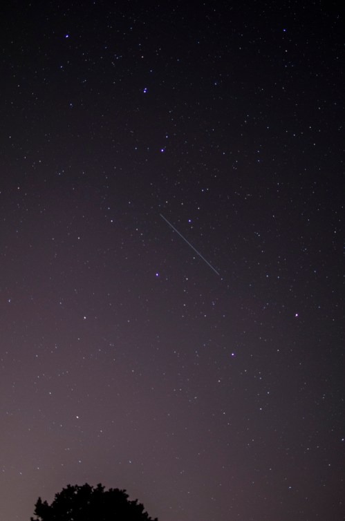 A starry night sky with a faint streak of light, possibly a meteor, and a silhouette of a tree at the bottom.