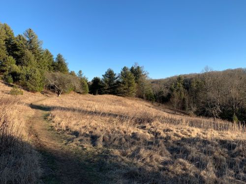 A serene landscape featuring a grassy path winding through a field, surrounded by trees under a clear blue sky.