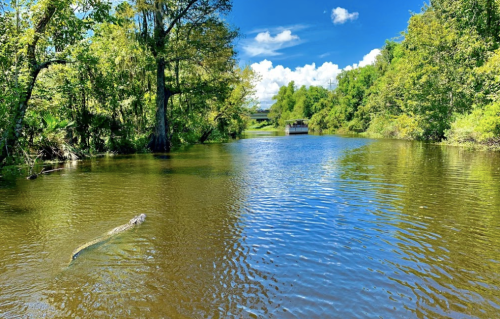 A serene river scene surrounded by lush greenery and blue skies, with gentle ripples on the water's surface.
