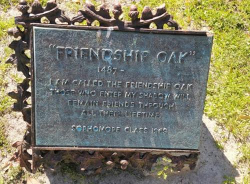 Plaque for "Friendship Oak" with inscription about friendship and a dedication to the Sophomore Class of 1969.
