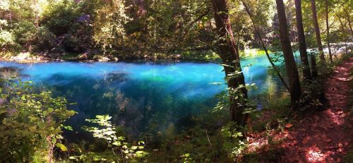 A serene river with vibrant blue water, surrounded by lush green trees and foliage. Sunlight filters through the leaves.