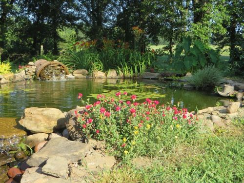 A serene pond surrounded by colorful flowers and lush greenery, with a small waterfall and rocks along the edge.
