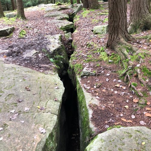 A narrow crack in rocky terrain surrounded by trees and moss, with fallen leaves scattered on the ground.