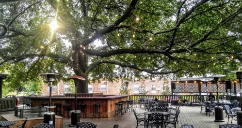 Outdoor patio with tables and chairs under a large tree, string lights hanging, creating a cozy atmosphere.