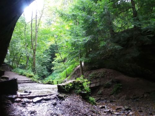 A lush green forest scene with rocky terrain and a pathway leading into a cave entrance.