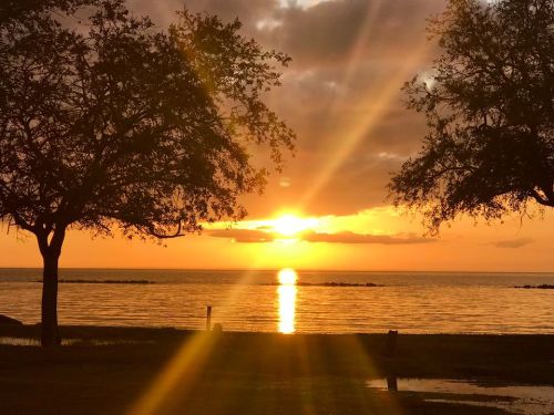 A serene sunset over a calm lake, framed by silhouetted trees and rays of sunlight breaking through the clouds.