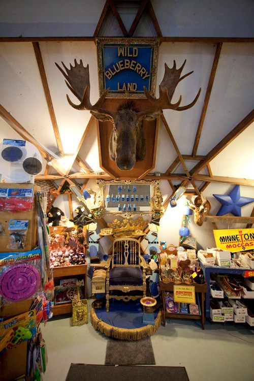 A whimsical shop interior featuring a moose head, colorful merchandise, and a throne-like chair.