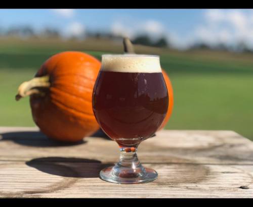 A glass of amber beer with a foamy head, placed on a wooden table next to two pumpkins in a sunny outdoor setting.