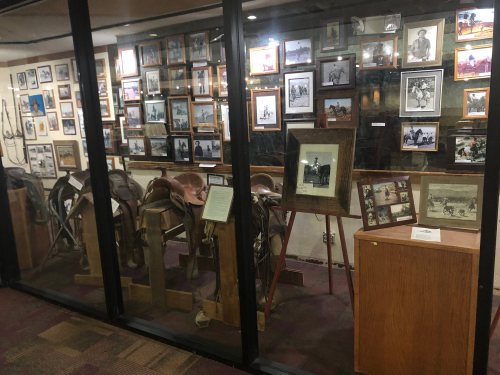 A display case featuring saddles and framed historical photographs in a museum setting.