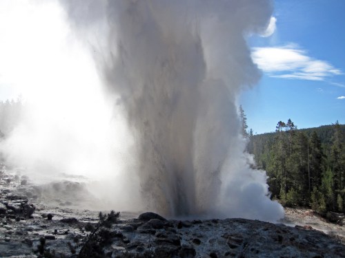 A powerful geyser erupts, sending a plume of steam and water into the air against a backdrop of trees and blue sky.