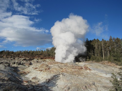 A geyser erupts, sending a plume of steam into a blue sky, surrounded by rocky terrain and trees in the background.