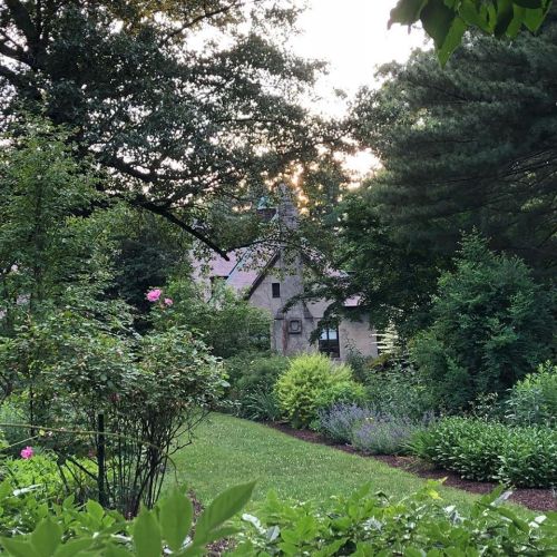 A charming stone house nestled among lush greenery and blooming flowers, with sunlight filtering through the trees.