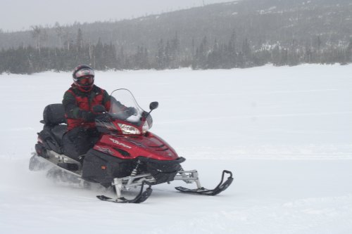 A person in a red snowmobile rides across a snowy landscape with trees in the background.