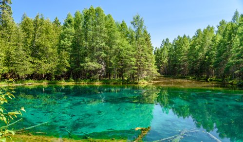 A serene forest scene featuring a clear, turquoise lake surrounded by lush green trees under a bright blue sky.