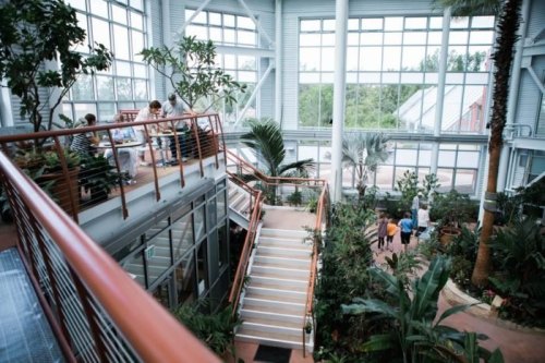 A spacious indoor garden with stairs, plants, and people enjoying the space in a bright, airy environment.