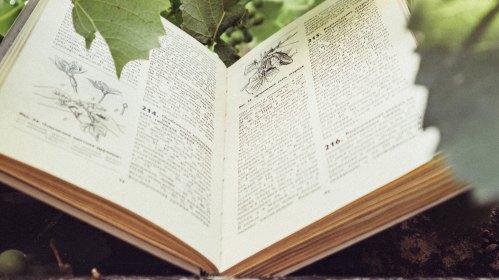 An open book surrounded by green leaves, featuring detailed illustrations and text on its pages.