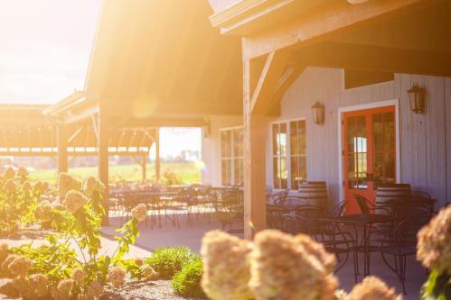 A sunlit outdoor patio with chairs and tables, surrounded by blooming flowers and a charming building.