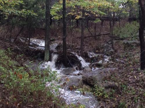 A small stream flows through a wooded area, surrounded by rocks and autumn foliage.