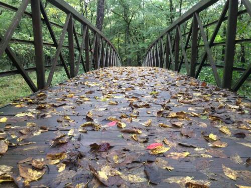 A wooden bridge covered in colorful autumn leaves, surrounded by lush green trees.