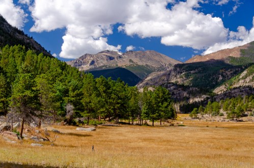 A scenic landscape featuring mountains, lush green trees, and a golden grassy meadow under a blue sky with fluffy clouds.