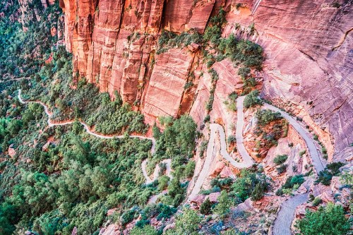 Winding trail along a steep, red rock cliff surrounded by lush greenery in a canyon landscape.