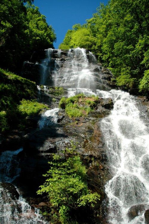 A cascading waterfall surrounded by lush green trees under a clear blue sky.